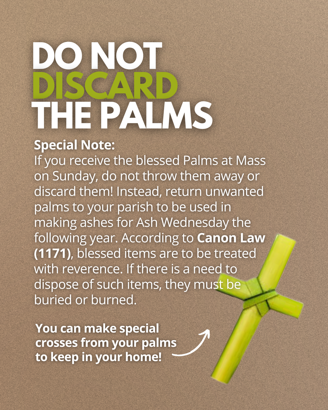  what does palm sunday mean