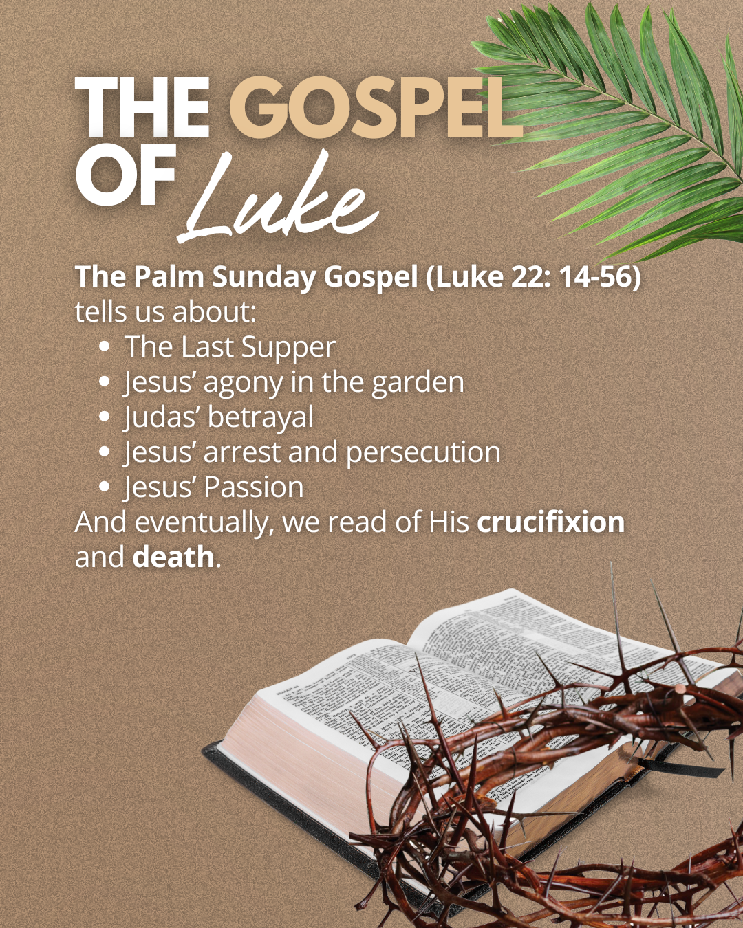  what does palm sunday mean