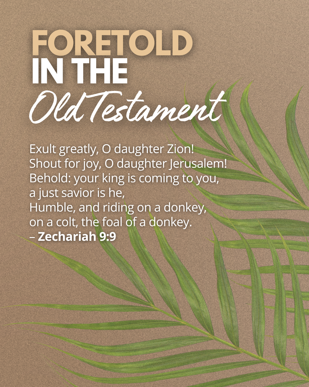  what does palm sunday mean