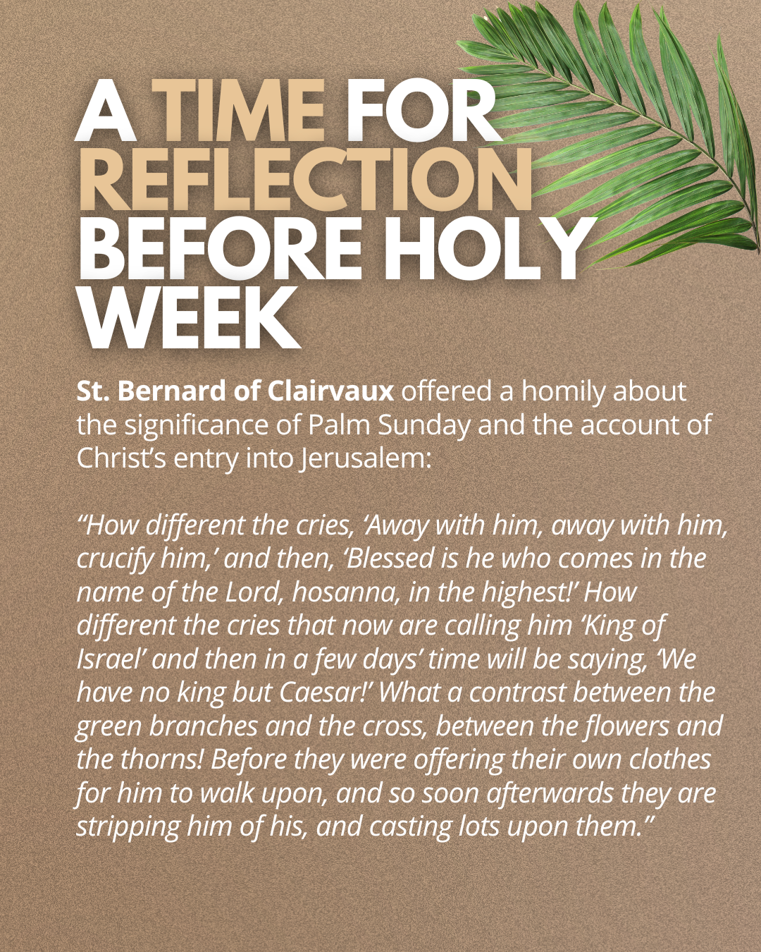  what does palm sunday mean