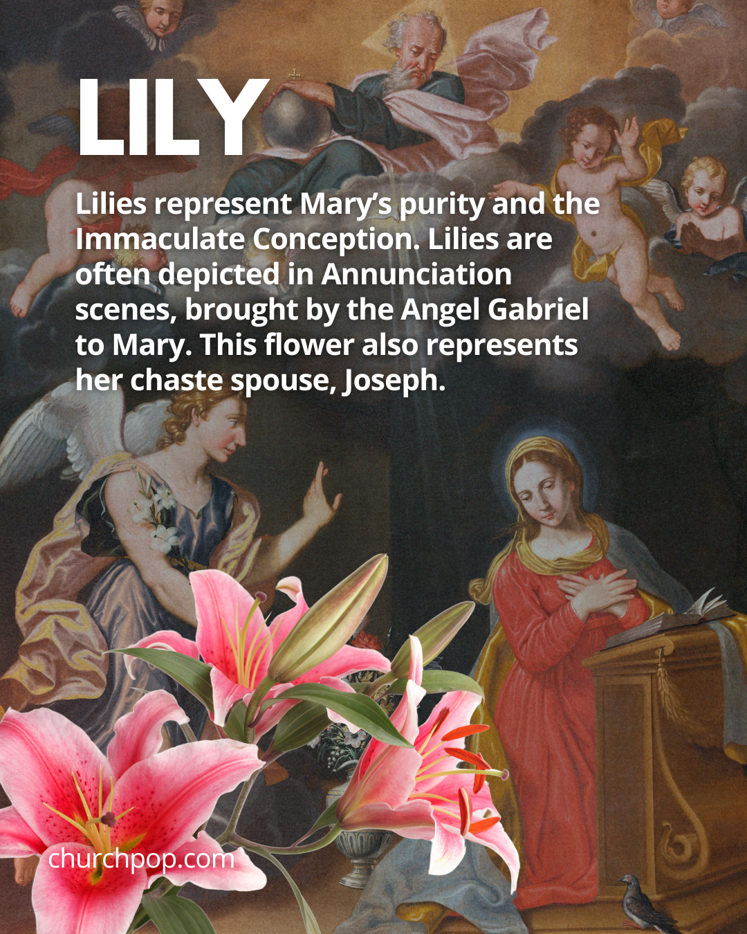 virgin mary flowers
