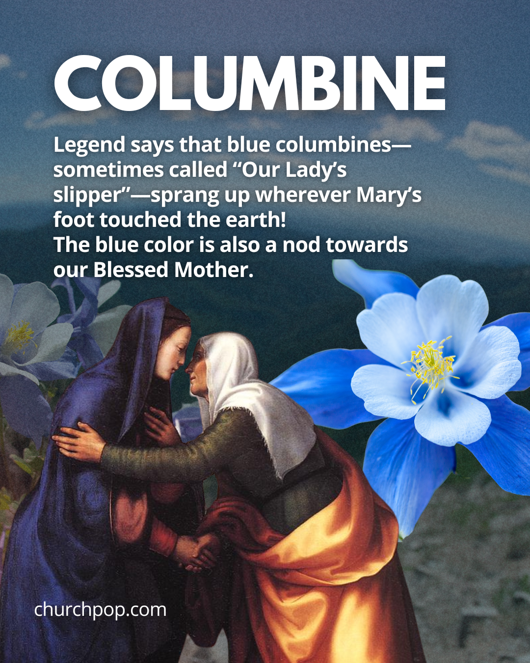 virgin mary flowers