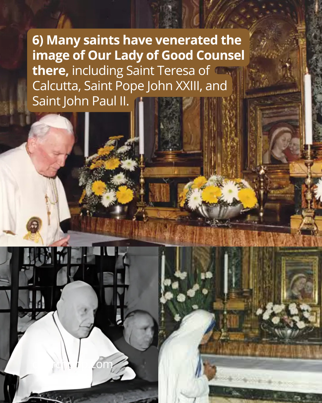 our lady of good counsel
