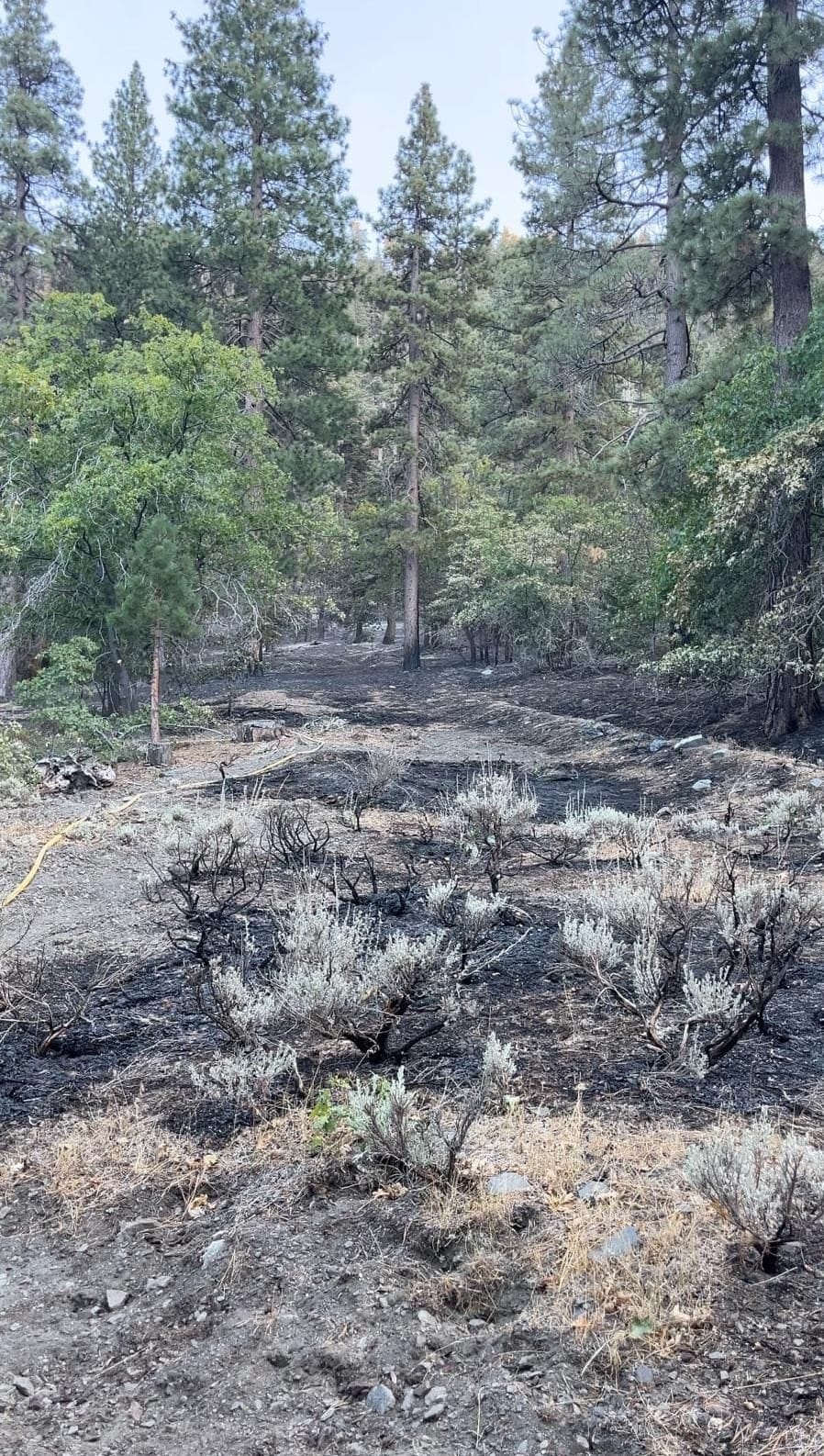 our lady of champion wisconsin