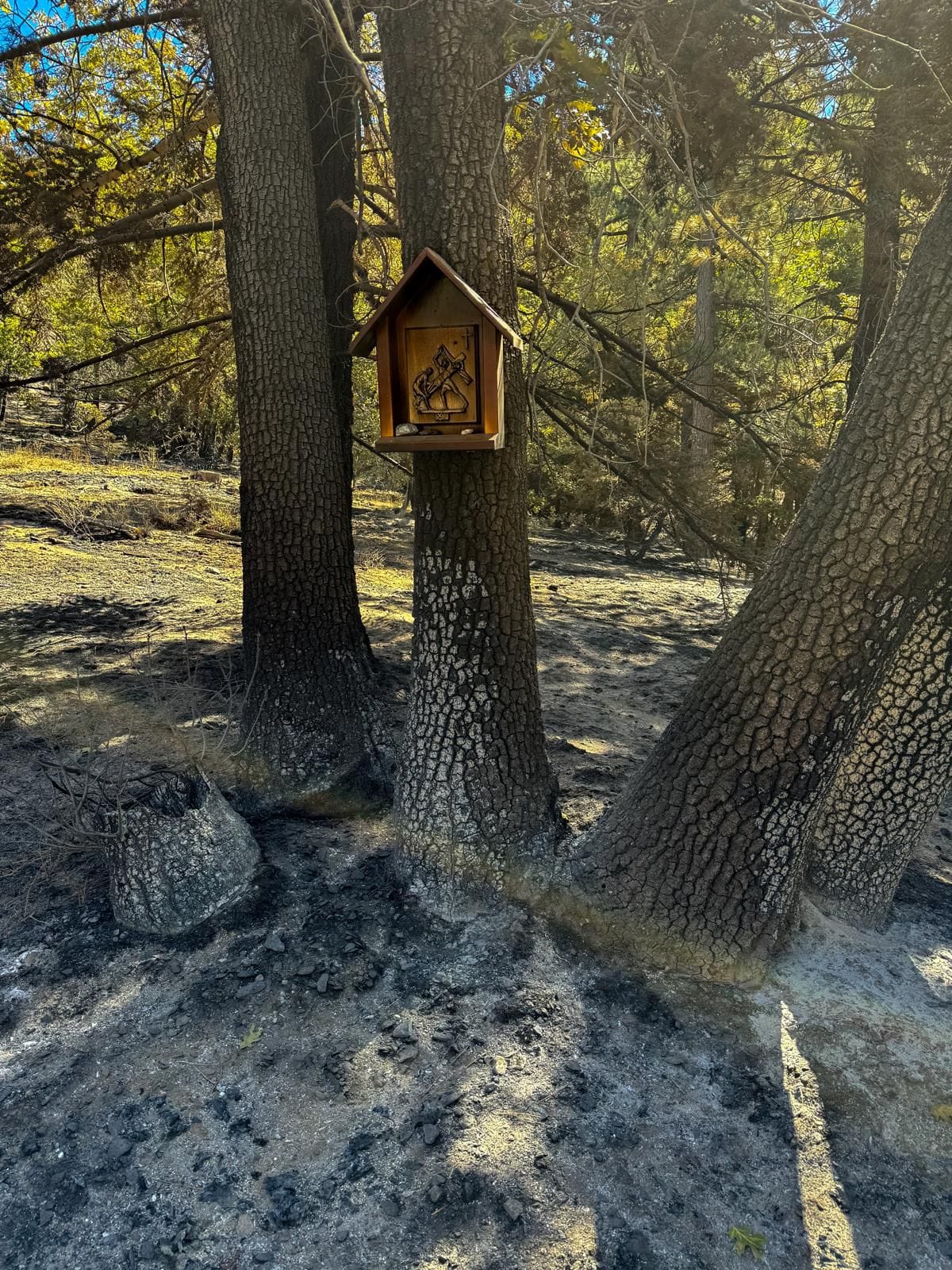 our lady of champion wisconsin