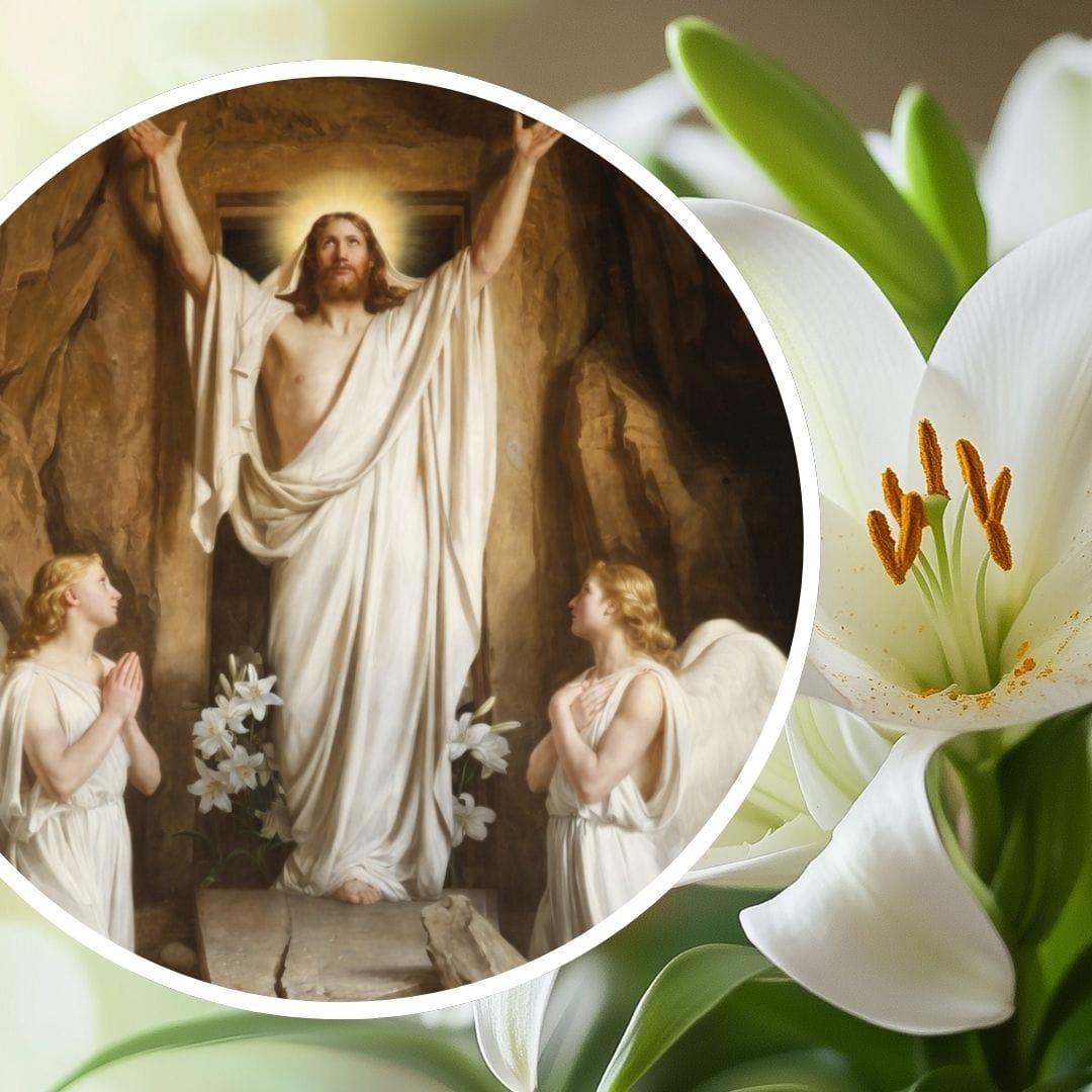 The Hidden Christian Meaning of the Easter Lily, an 'Icon of the Resurrection'
