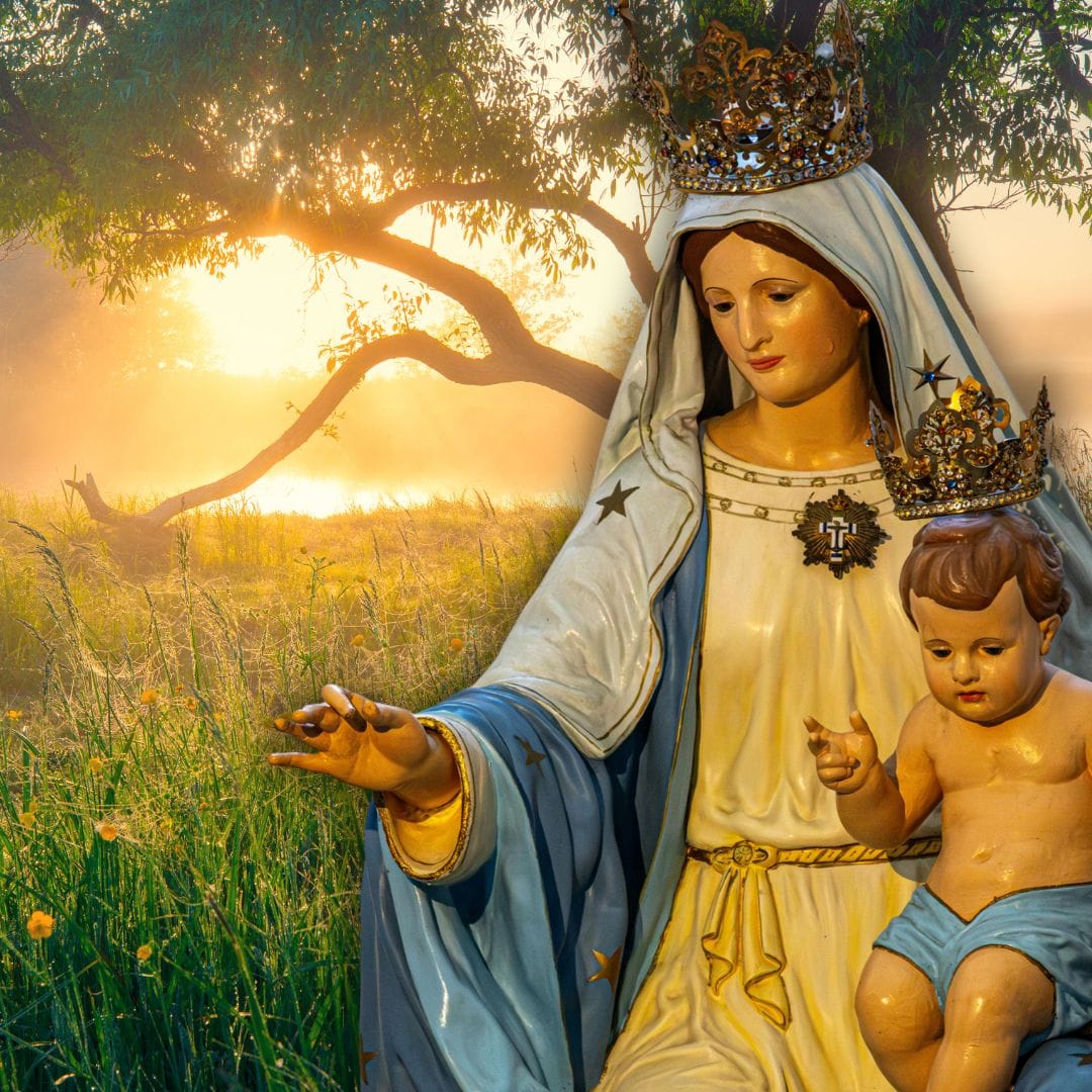 Reclaim the Environment, Catholic Style: 3 Principles Rooted in Truth, Not Secular Ideology