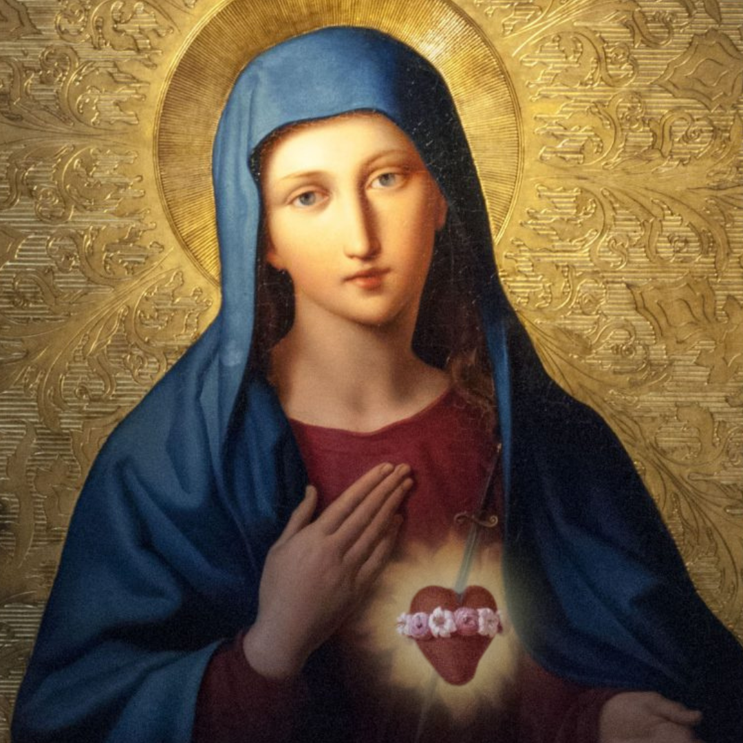 August is dedicated to the Immaculate Heart of Mary. This is Why.