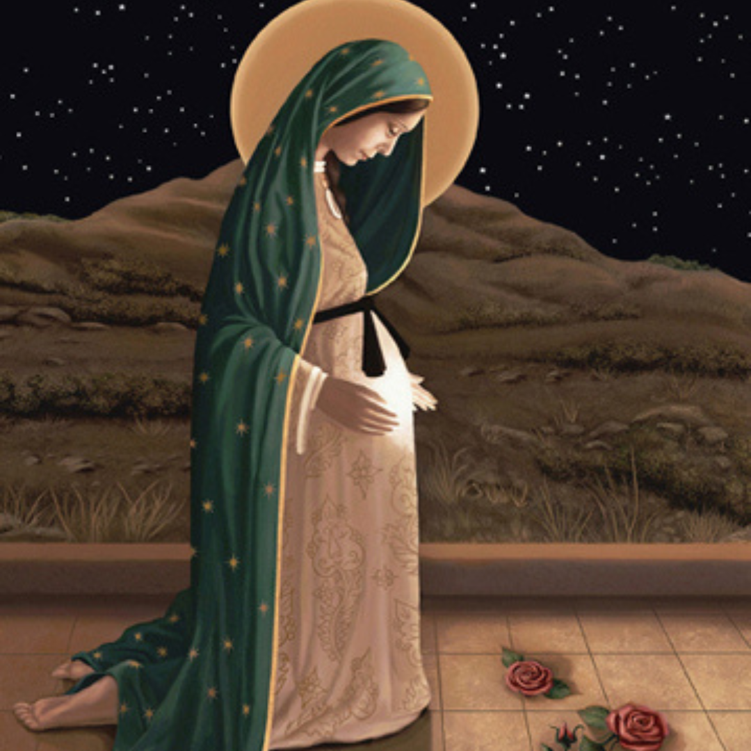 guadalupe our lady, guadalupe virgin