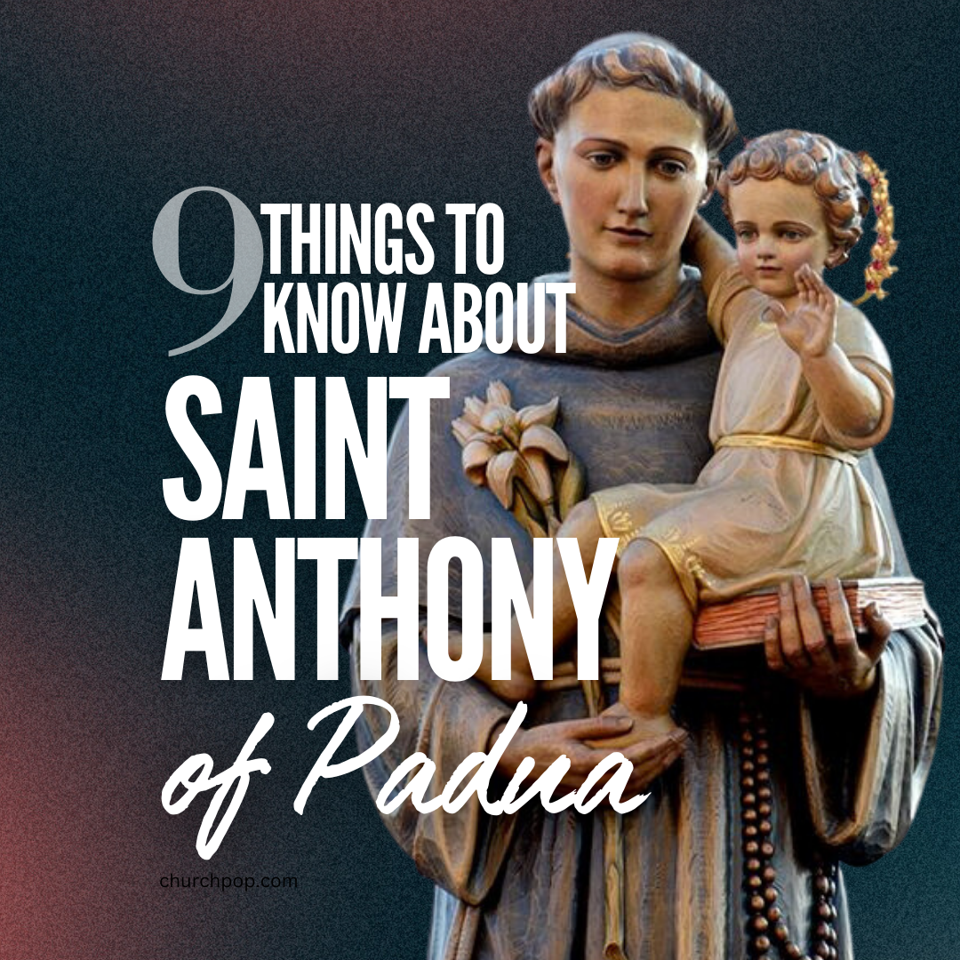 saint anthony of padua, saint anthony prayer, saint anthony padua, saint anthony novena, saint anthony of lost things prayer