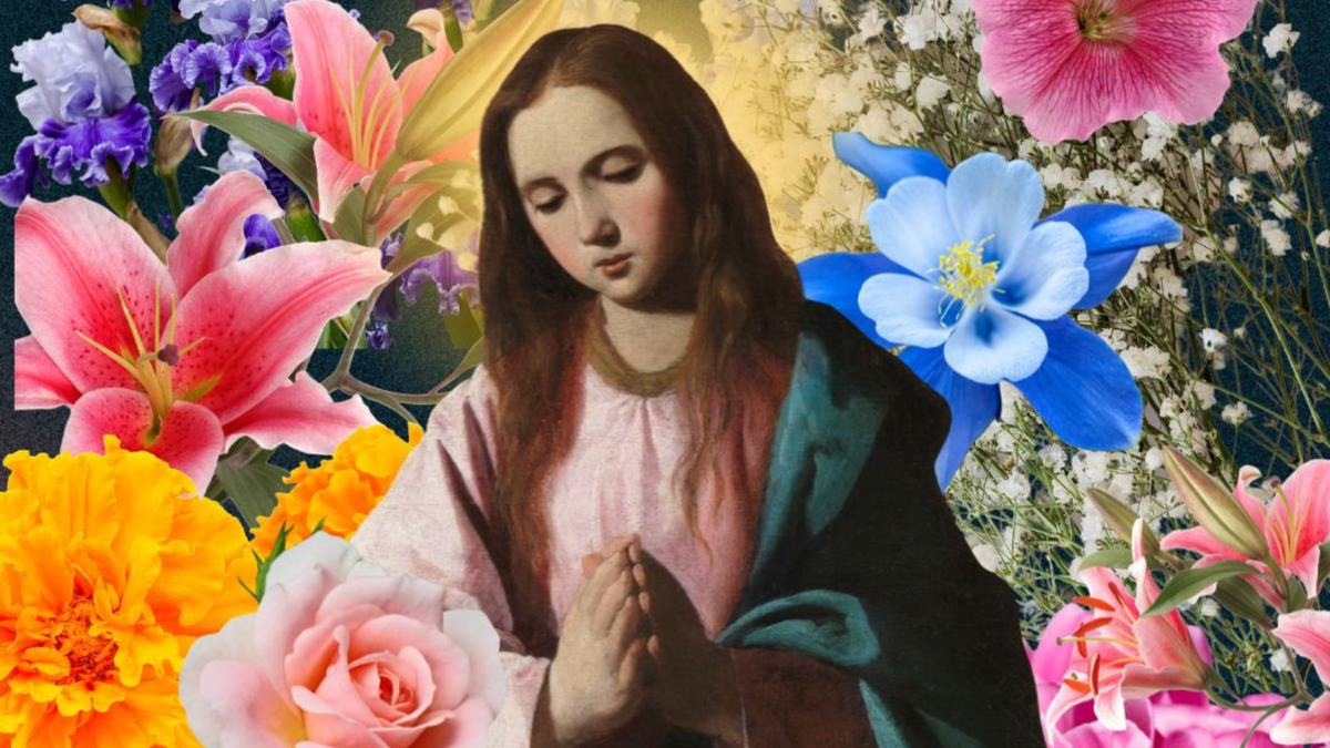 virgin mary in pink dress meaning The spiritual meaning of pink in relation to the Blessed Virgin Mary