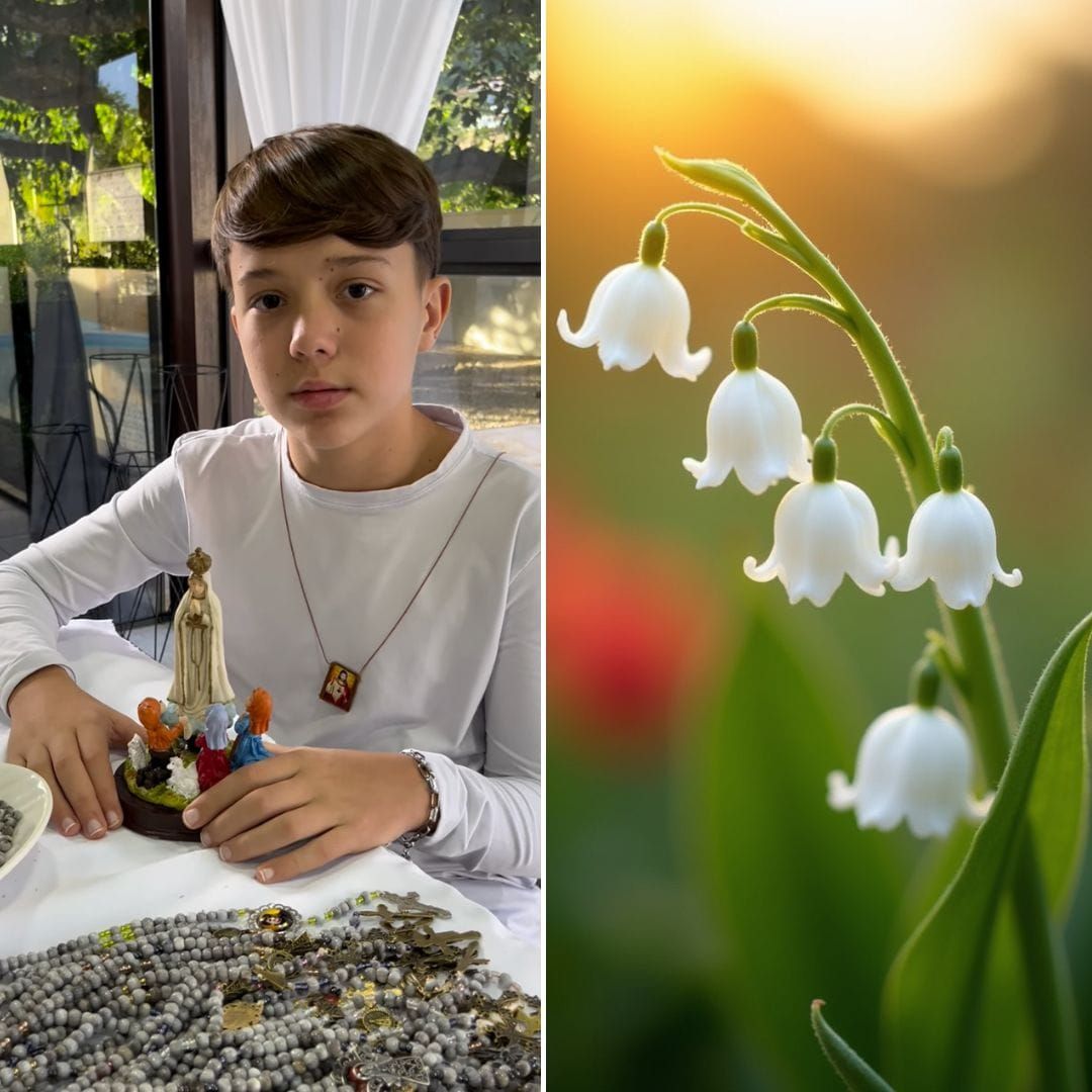 lily of the valley herb