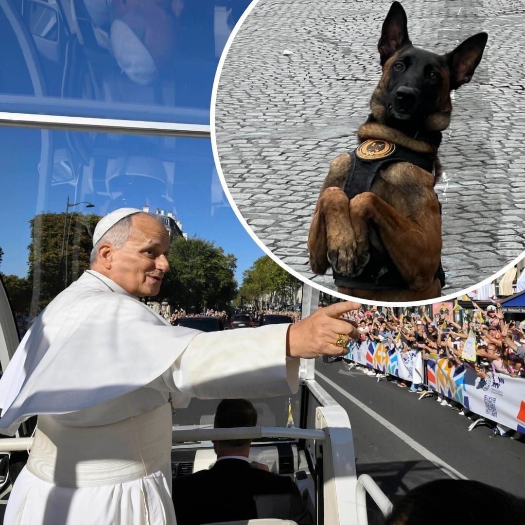 Alfoz, the Civil Guard dog who traveled from Spain to France to protect Pope Leo.