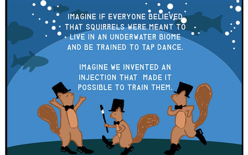 The Abortion-Contraception Connection - Explained with Tap Dancing Squirrels!