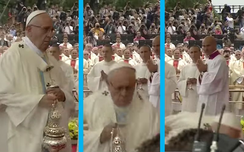 Our 79-Year-Old Holy Father Fell During Mass This Morning!
