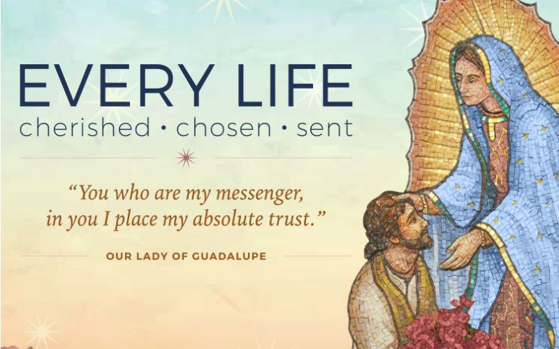 Let's Storm Heaven & End Abortion: The "9 Days For Life" Novena Begins Today -- Pray it Here!