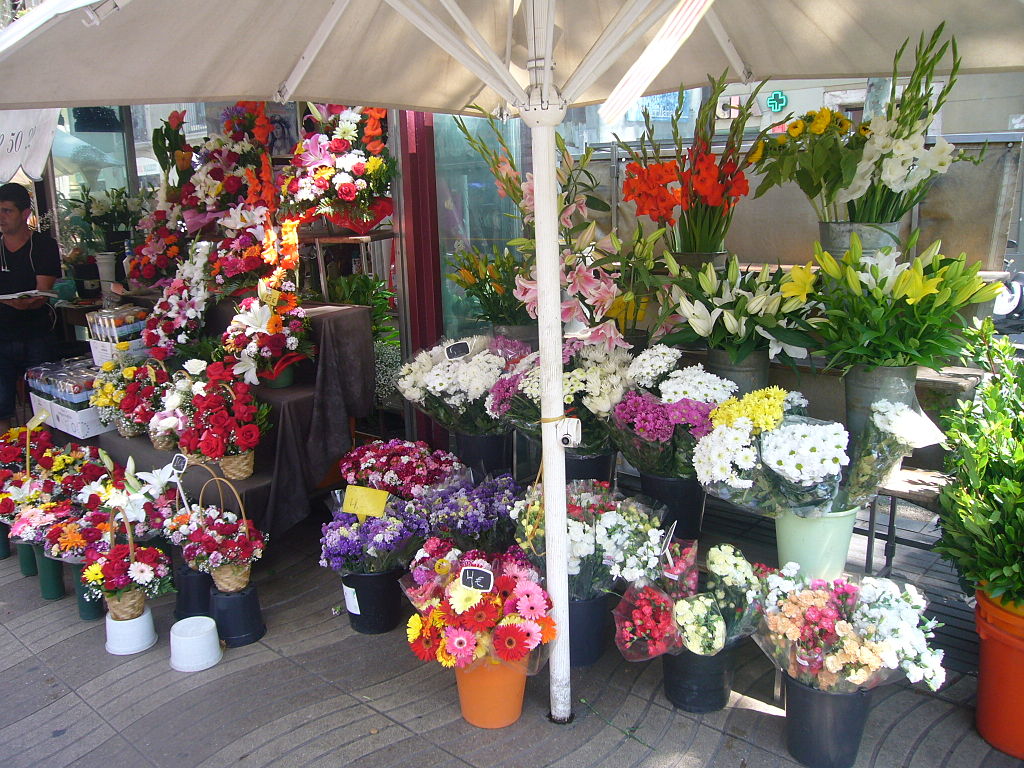 Jordiferrer / Wikimedia Commons