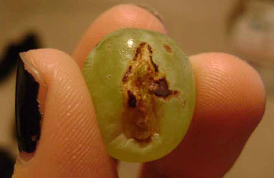 via hollyart45.blogspot.com