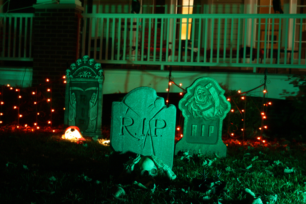 Marla Showfer / Flickr