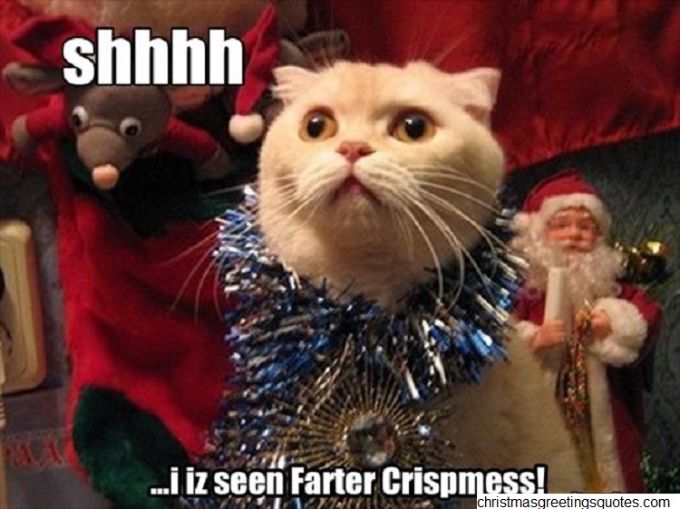 via quotes.lol-rofl.com