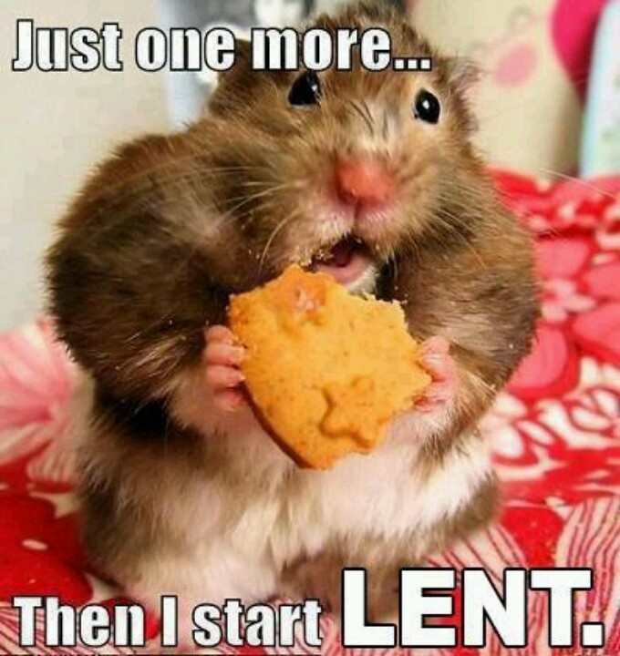 via Lisa Danner, Pinterest