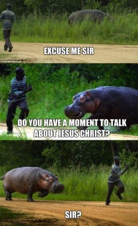 Lalita Hogan, Pinterest