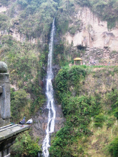 Elberth 00001939 y Daniela Jimenez, Wikipedia