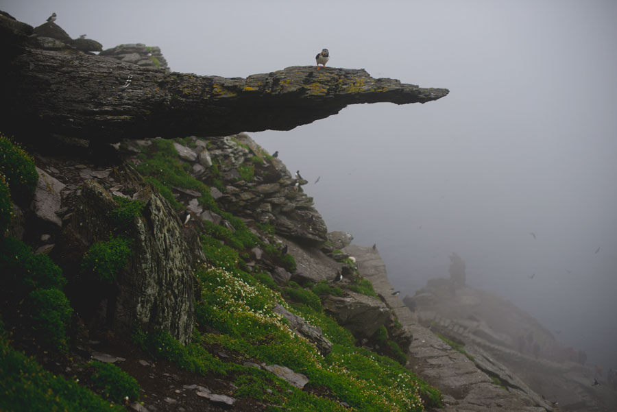 Valerie Hinojosa, Flickr