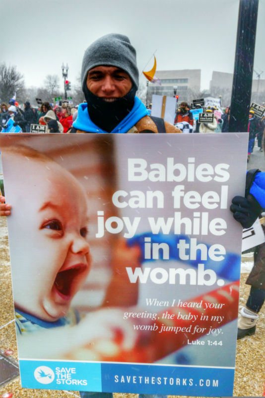 Fr. Matthew P. Schneider, LC