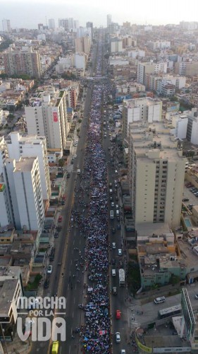 Marcha Por La Vida, Facebook
