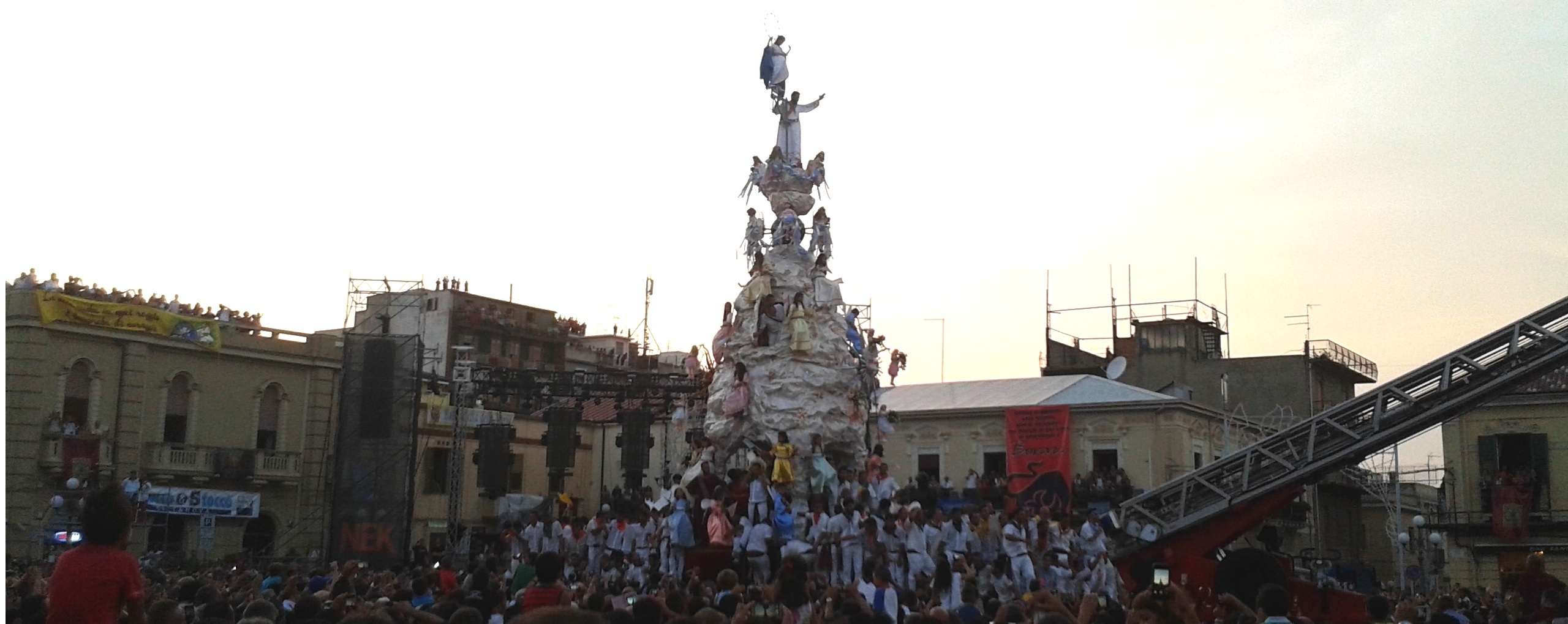 Palminellafede, Wikipedia,