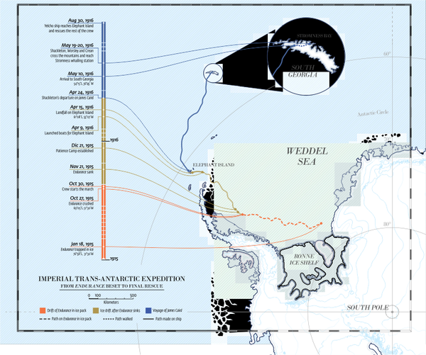 Endurance and The Coronavirus