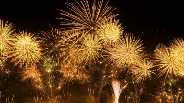 Fireworks in the night sky