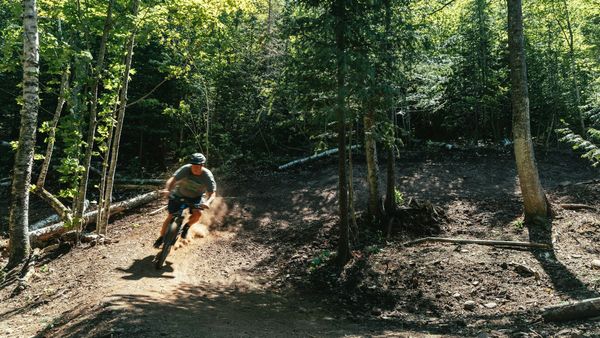 Mountain biker on summer trail