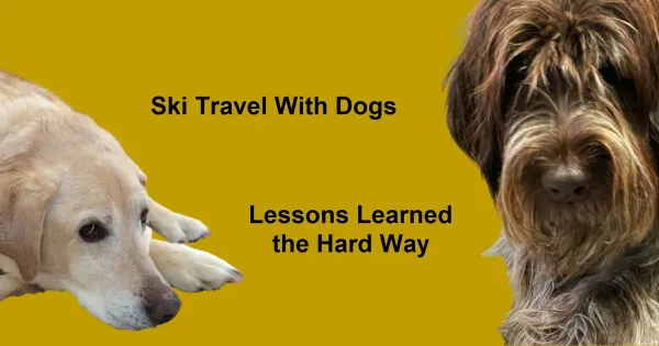 Ski Travel With Dogs. Lessons Learned the Hard Way