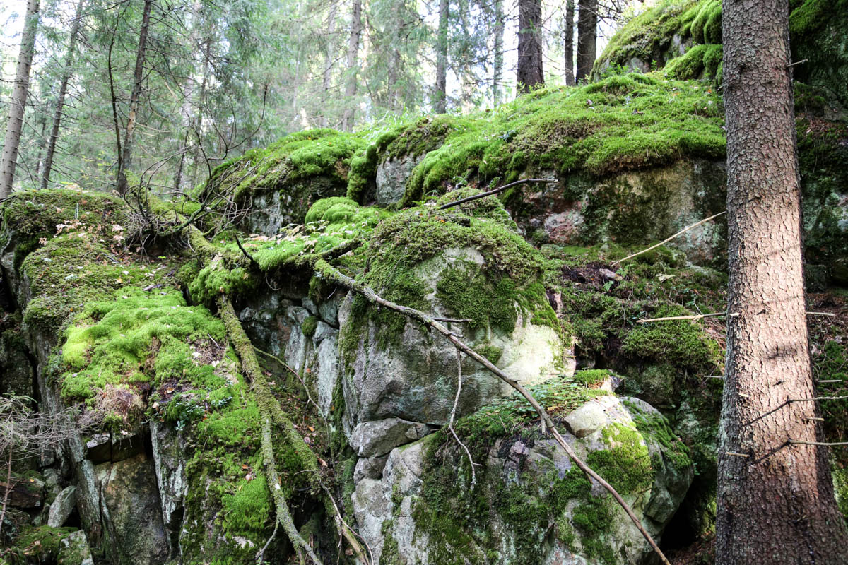 Tämä on tehokkain krapulalääke