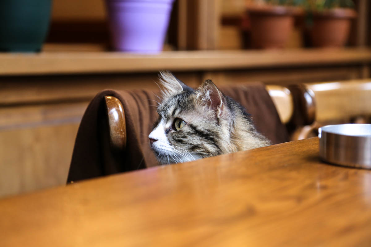 Istanbulin tunnetuin nähtävyys