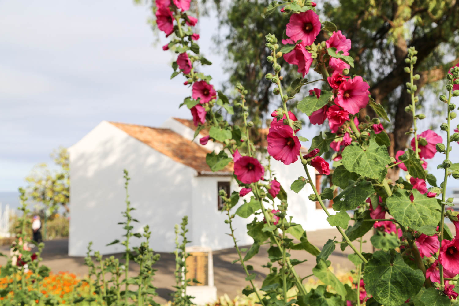 Jokainen suomalainen ansaitsisi tämän