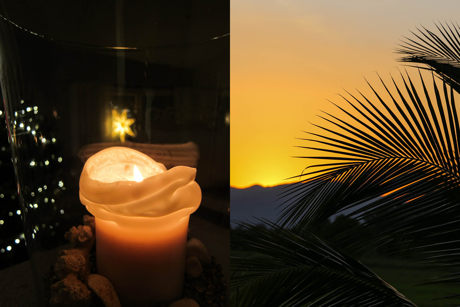 Kannattaako joulua paeta palmun alle?