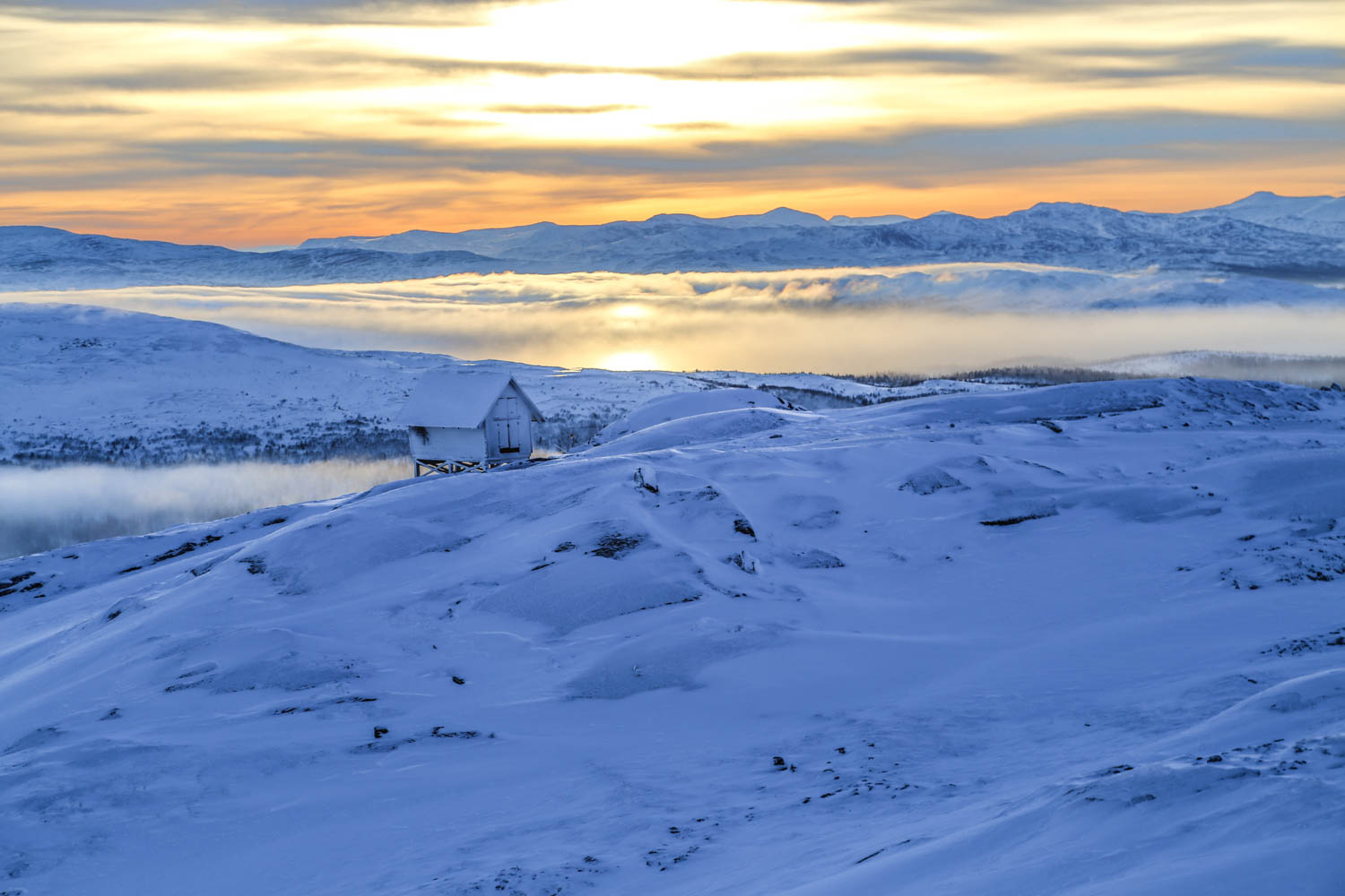 Osallistu kilpailuun, jossa nopeat syövät hitaat!