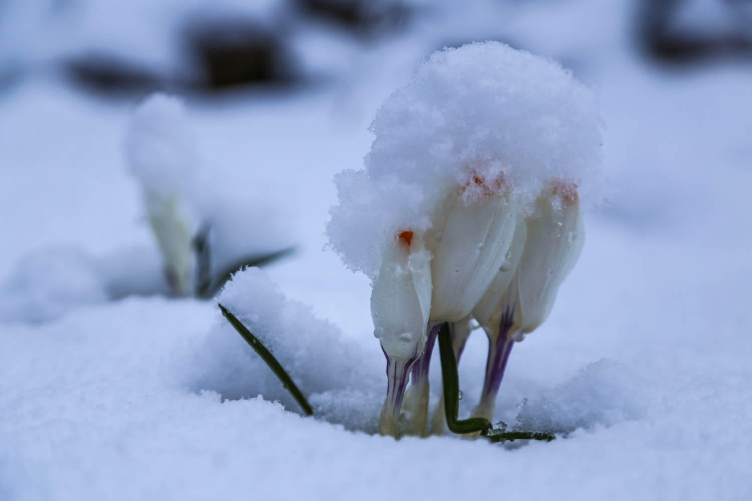 Suomalaisella on oikeus valittaa säästä