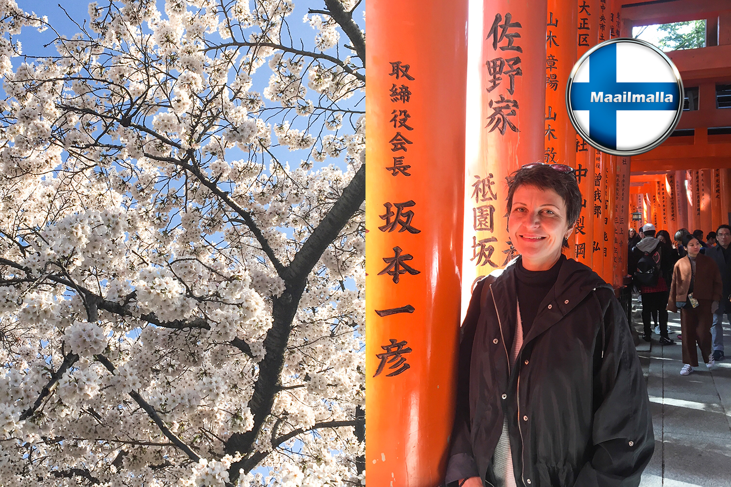 Minkälaista on asua Japanin Osakassa?