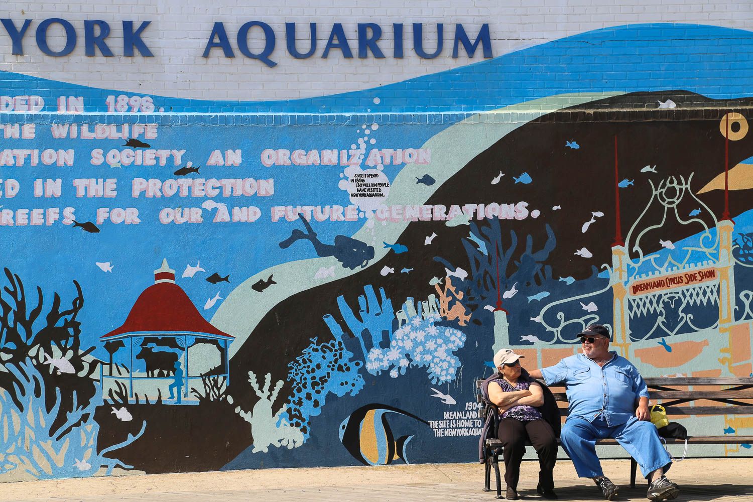 New York Coney Island: https://walleni.us/