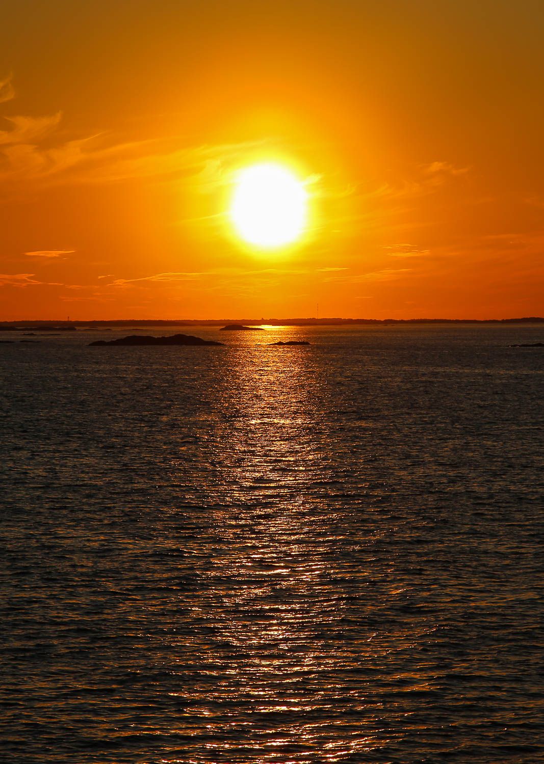 Kuva: Sanna Wallenius, https://walleni.us/