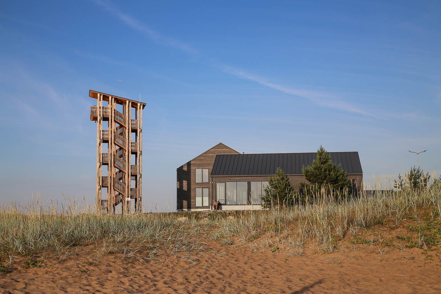 Liimalan ranta, Viro. Lue lisää: https://walleni.us/ Kuva: Sanna Wallenius