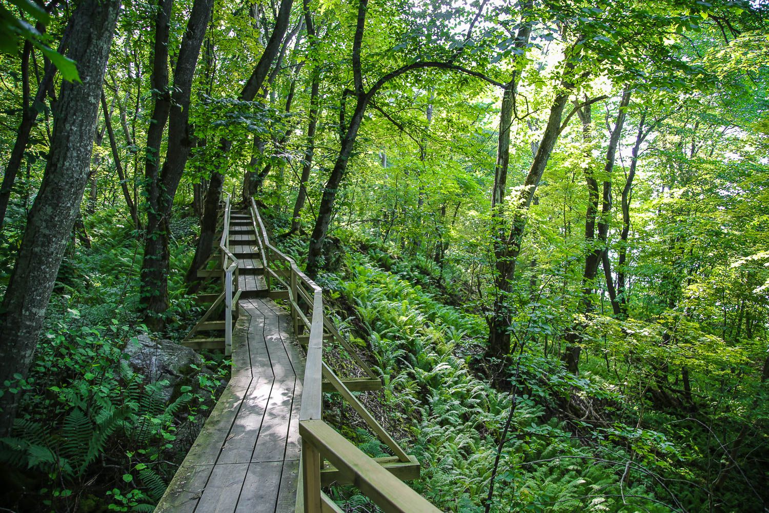 Ontika cliff, Viro. Lue lisää: https://walleni.us/ Kuva: Sanna Wallenius