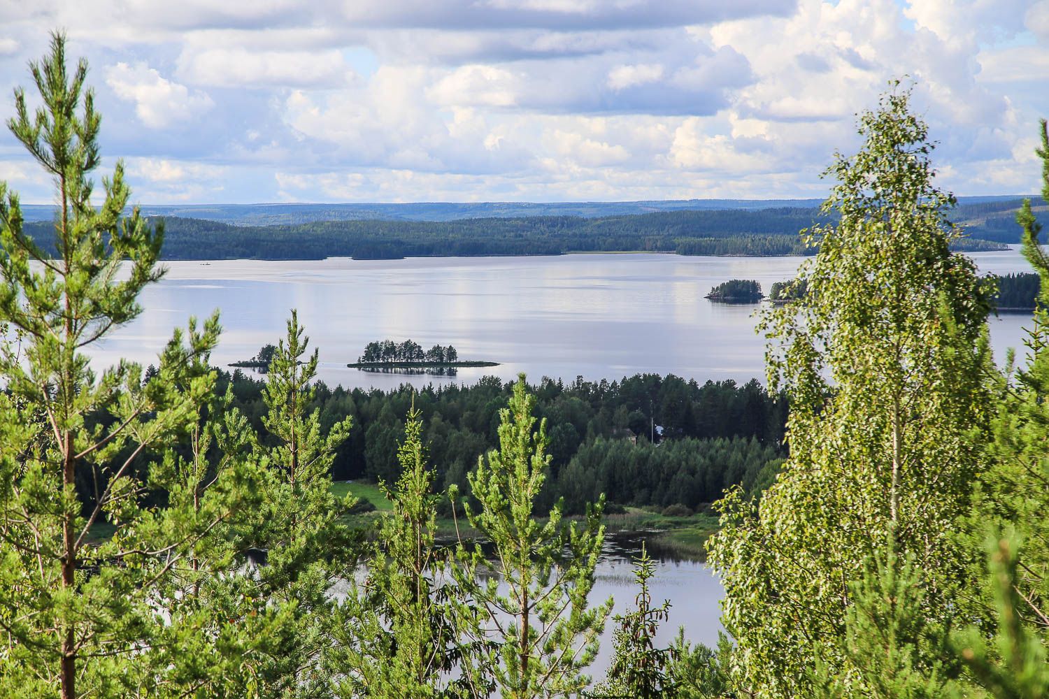 Toivontorni. Kuva: https://walleni.us/