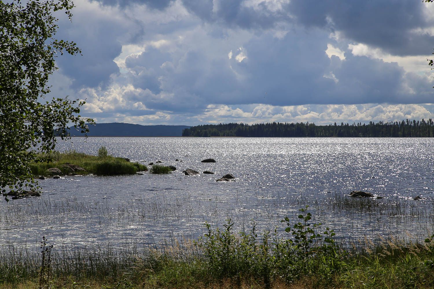 Break Sokos Hotel Bomba, Pielinen. Kuva: https://walleni.us/