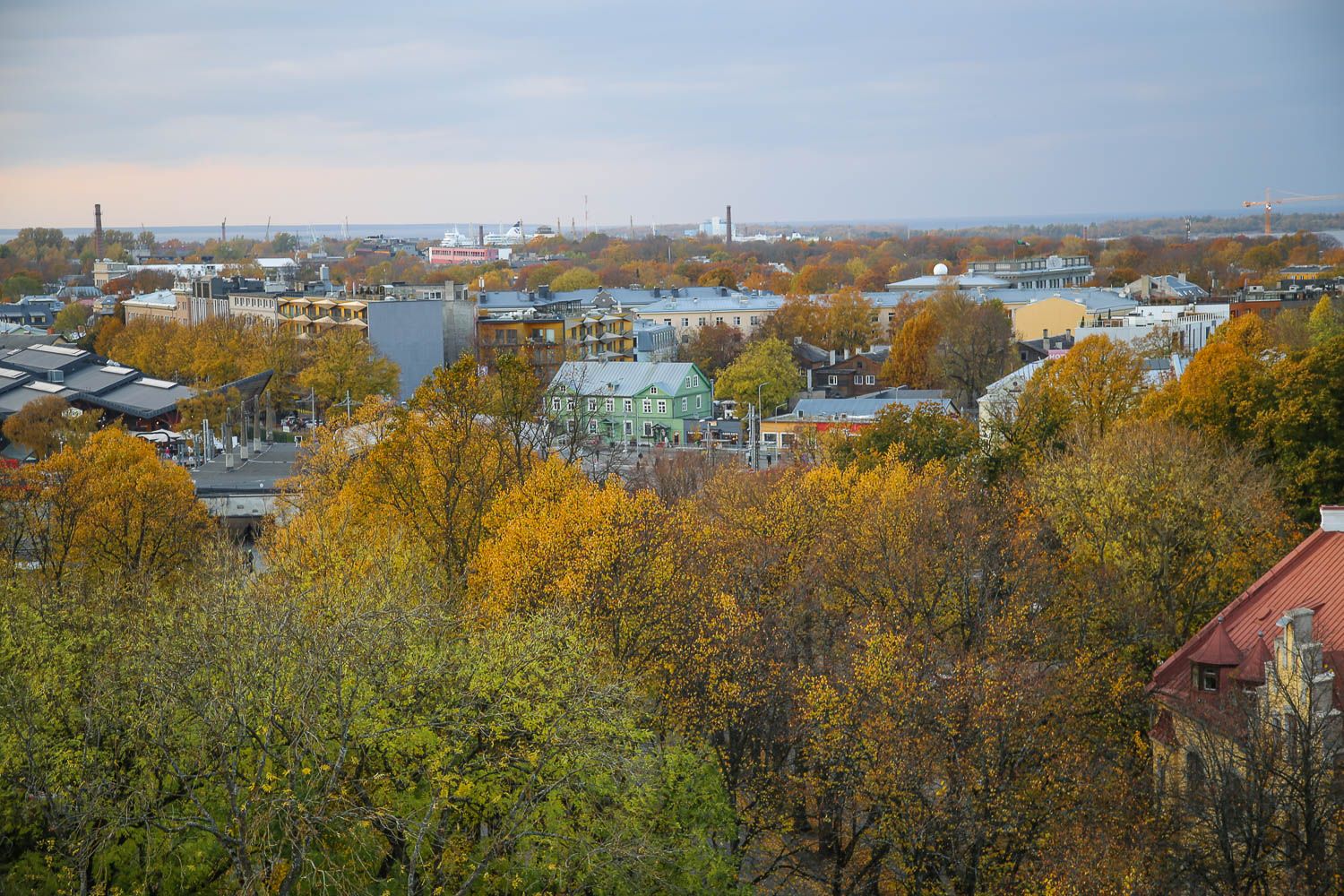 Patkulin näköalatasanne Tallinna: https://walleni.us/