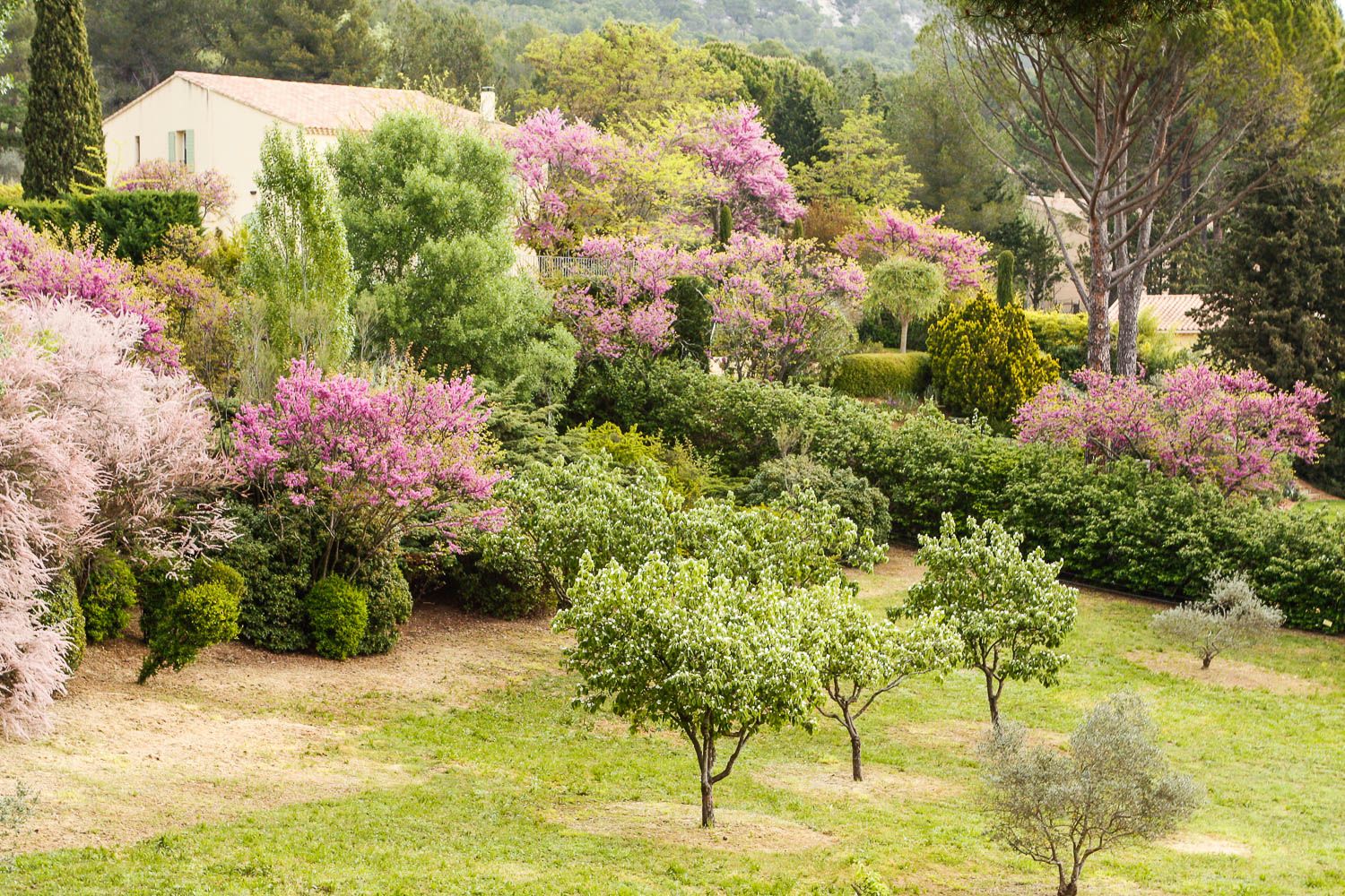 Kivempi historian tunti Aix-en-Provencessa